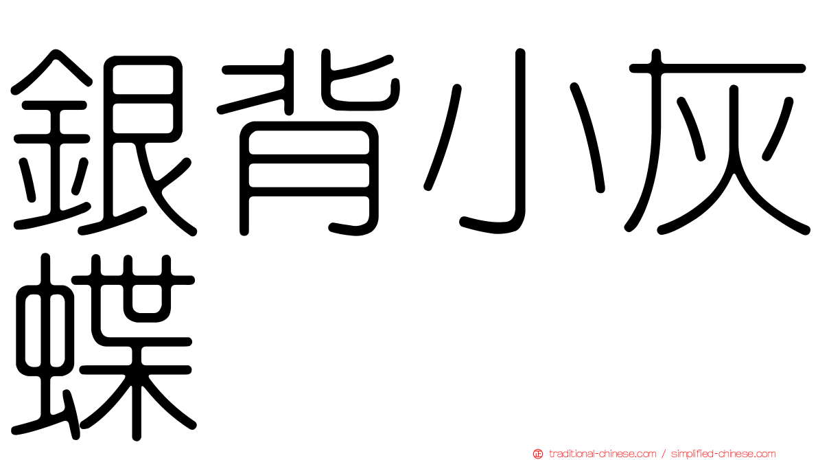銀背小灰蝶