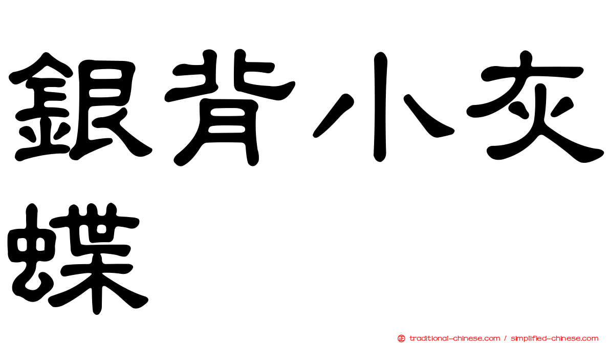 銀背小灰蝶