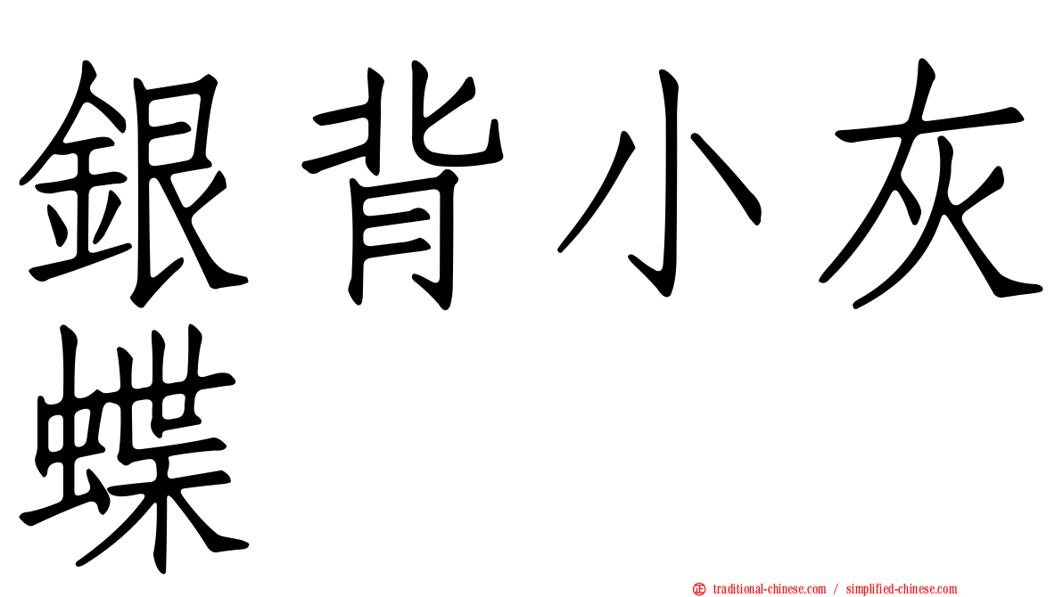 銀背小灰蝶
