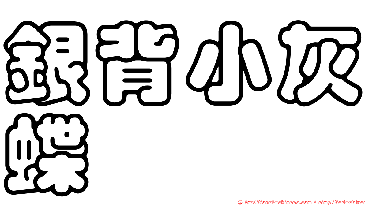 銀背小灰蝶