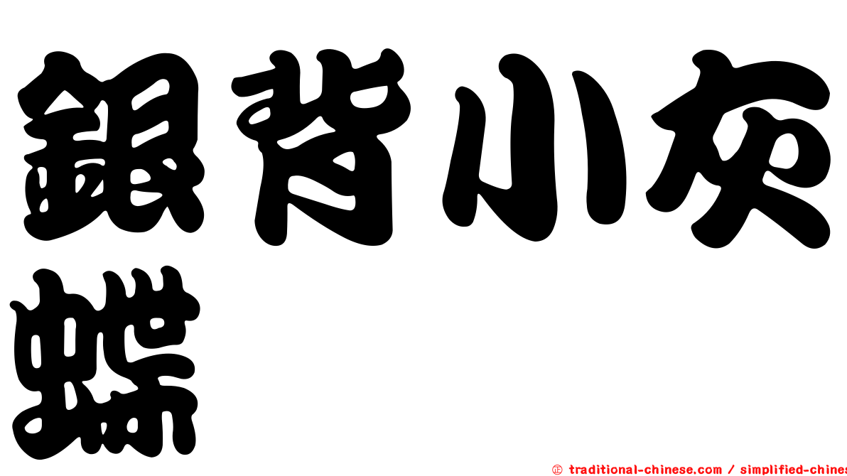 銀背小灰蝶