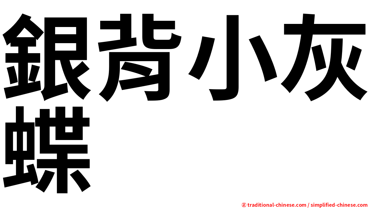 銀背小灰蝶