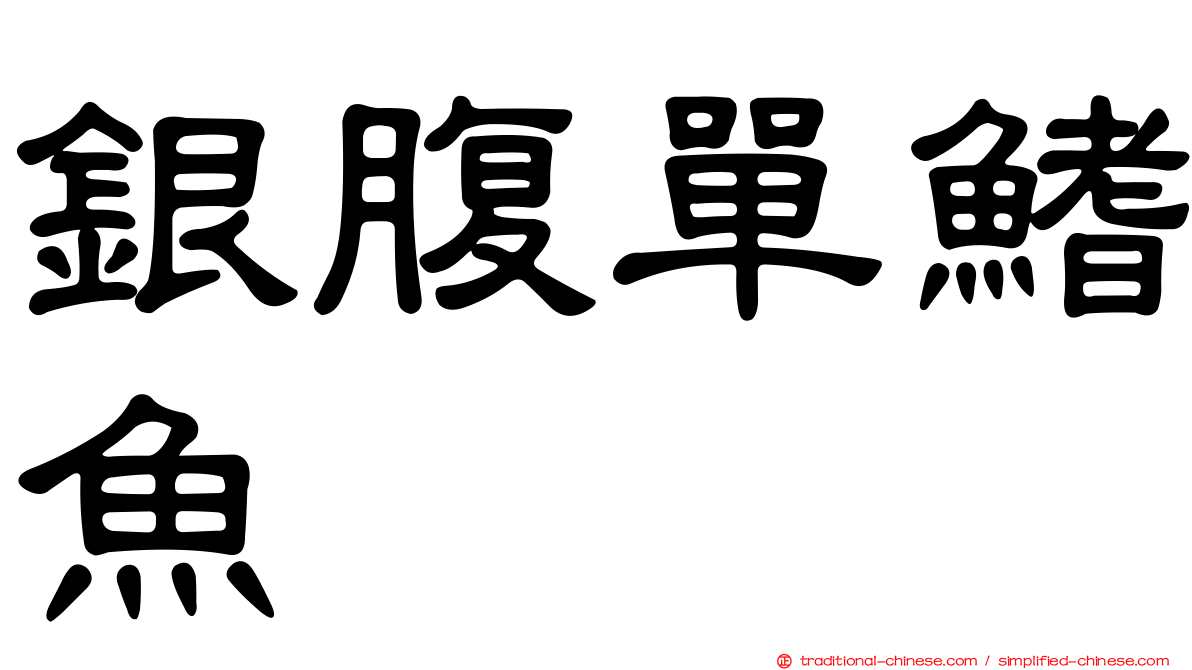 銀腹單鰭魚