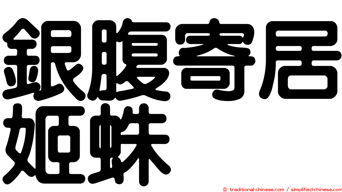銀腹寄居姬蛛