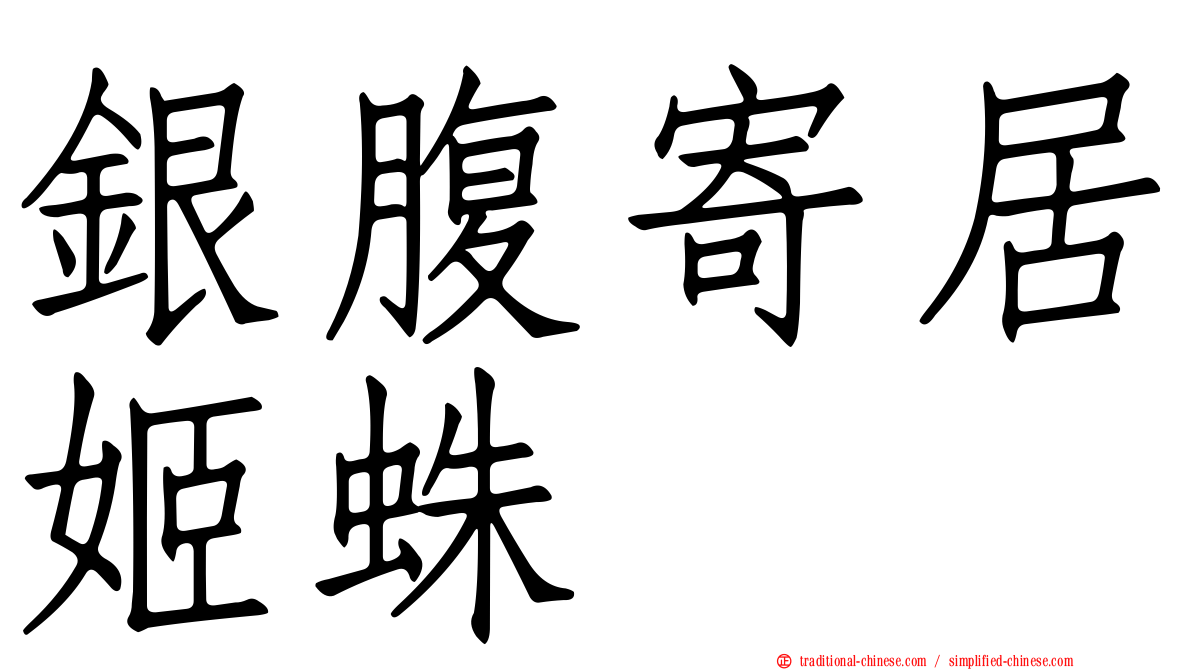 銀腹寄居姬蛛