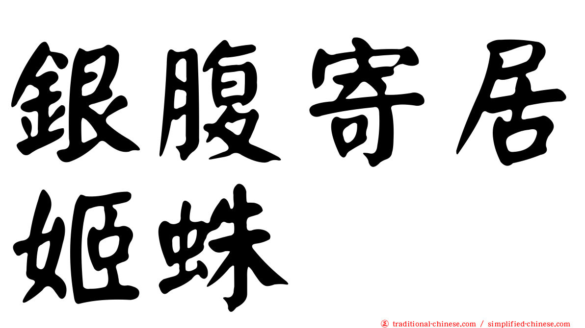 銀腹寄居姬蛛