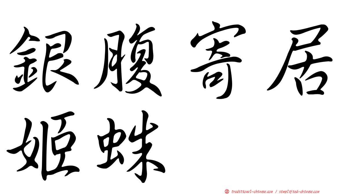 銀腹寄居姬蛛