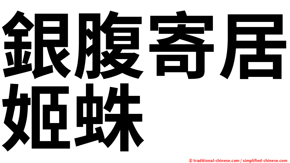 銀腹寄居姬蛛