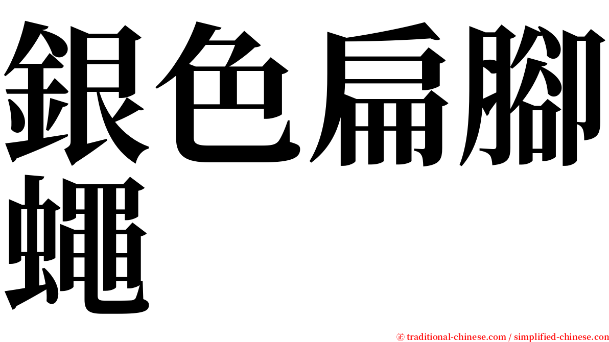 銀色扁腳蠅 serif font