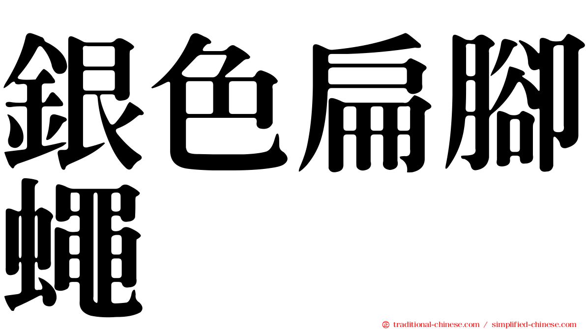 銀色扁腳蠅