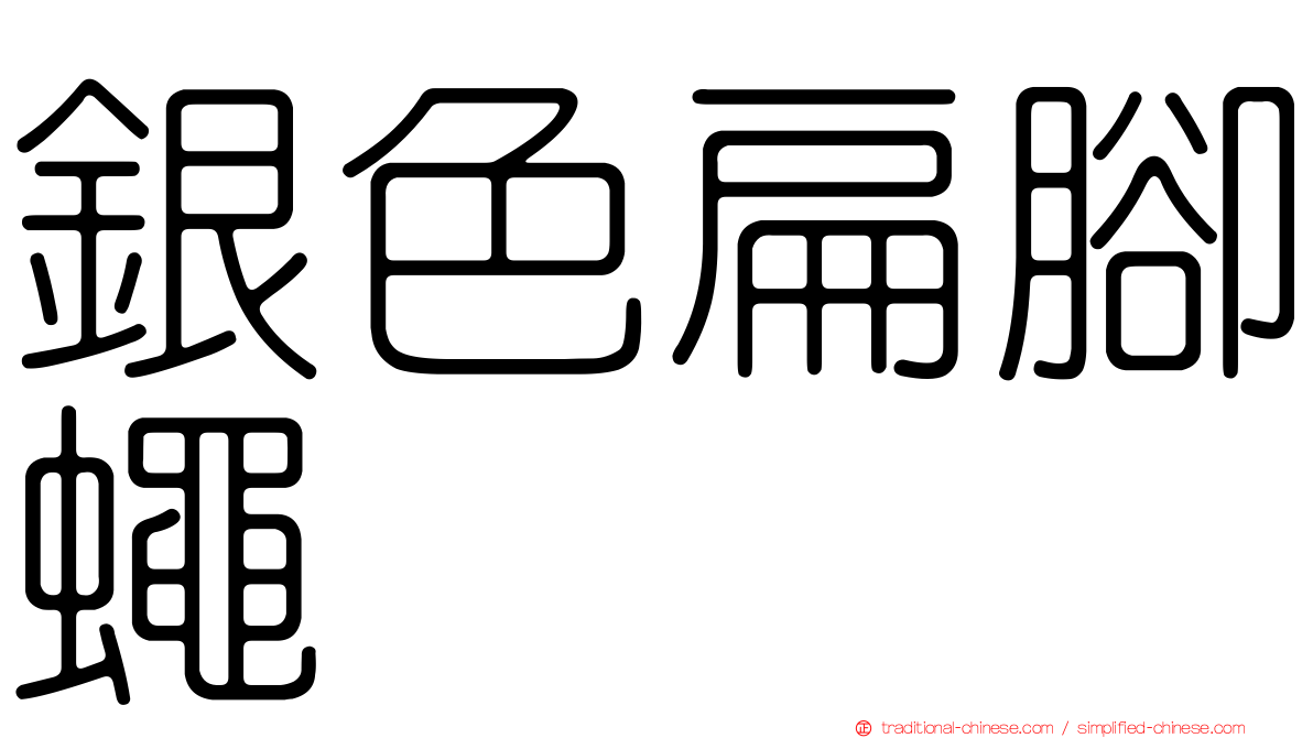 銀色扁腳蠅