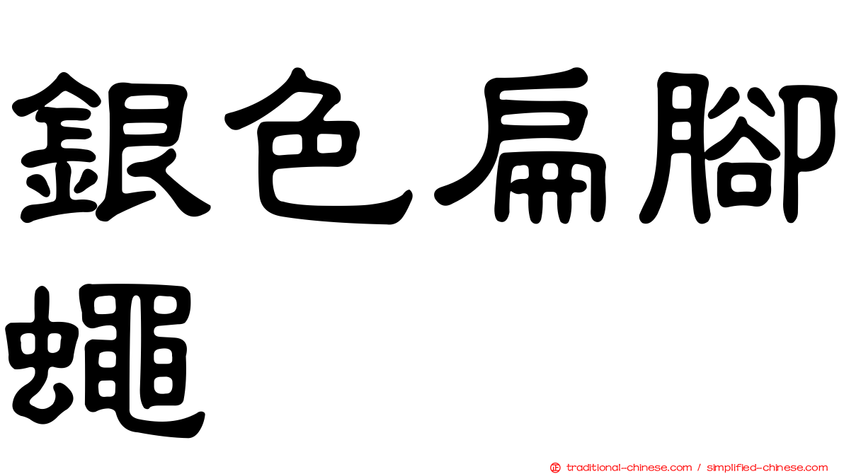 銀色扁腳蠅