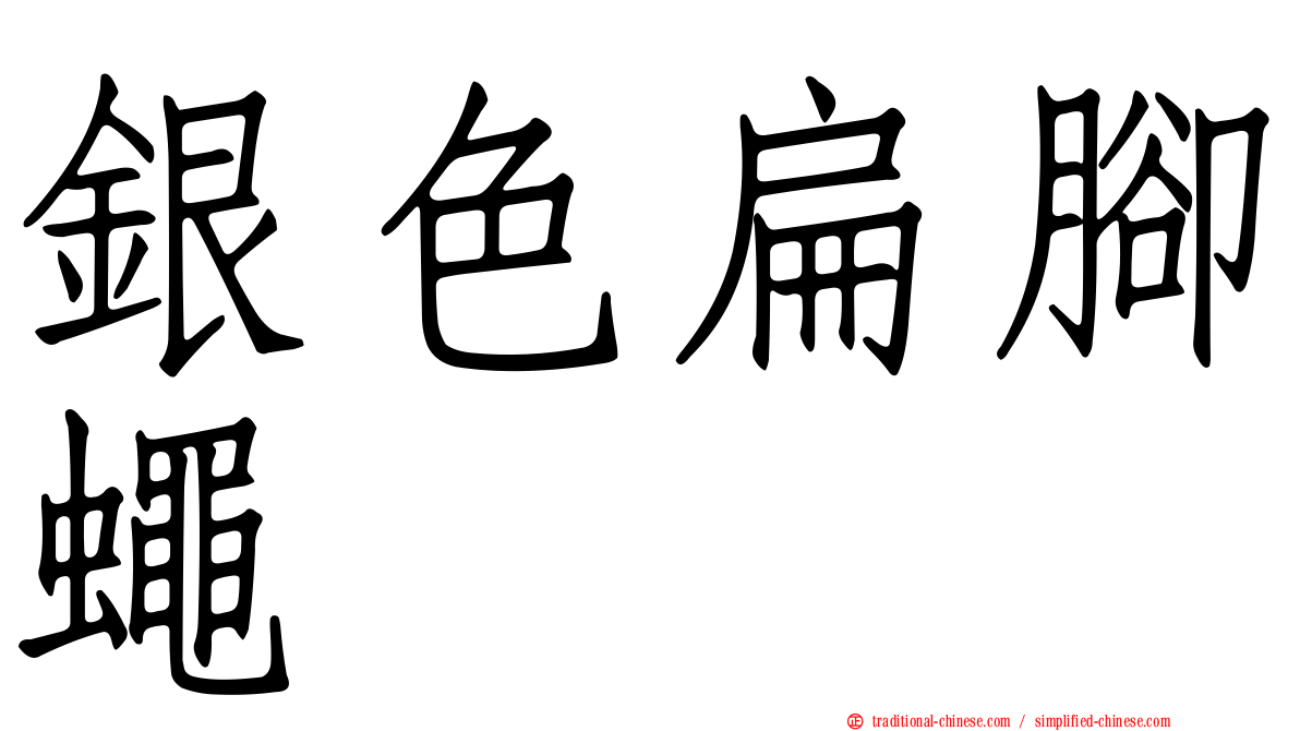 銀色扁腳蠅