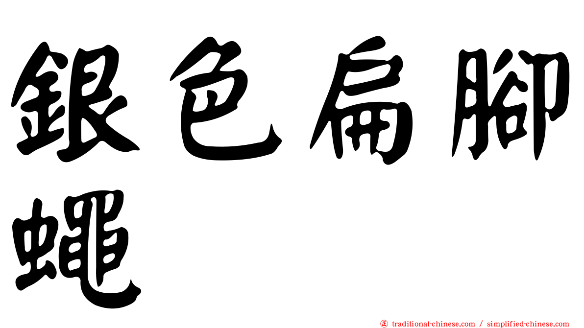 銀色扁腳蠅