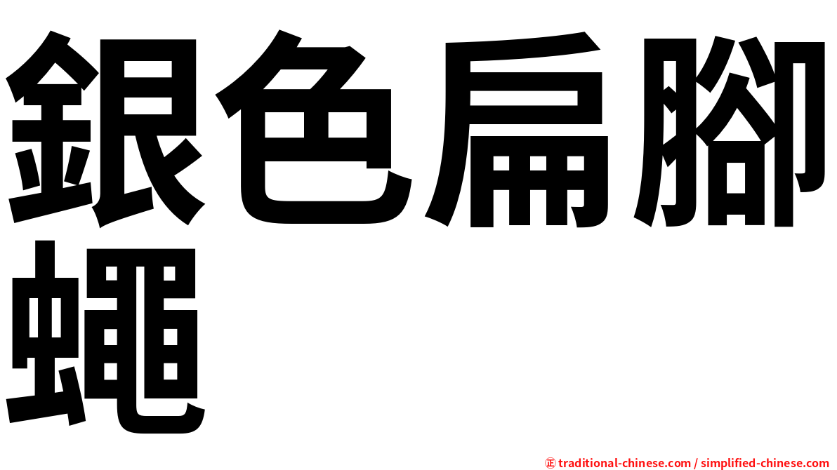 銀色扁腳蠅