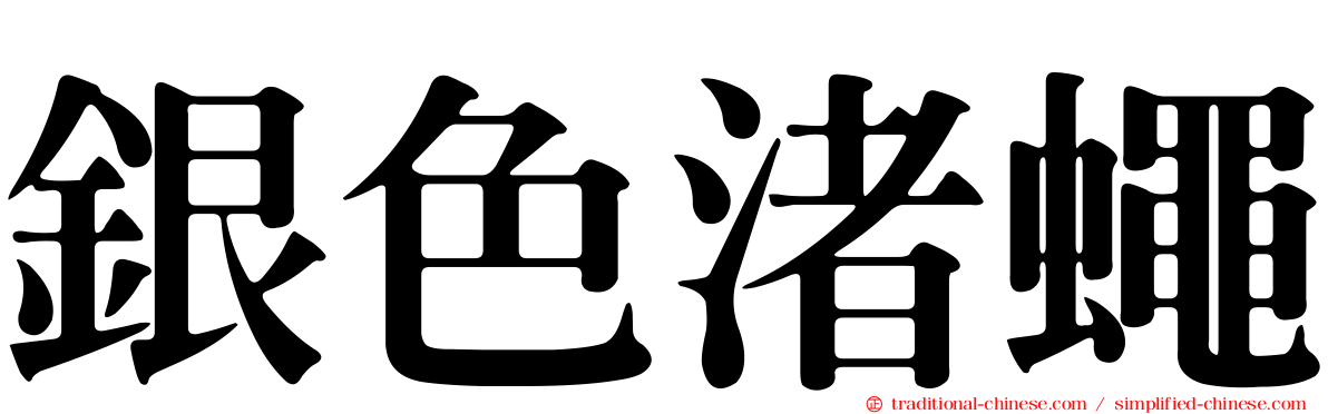 銀色渚蠅