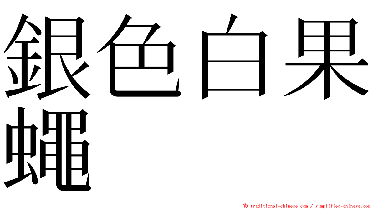 銀色白果蠅 ming font