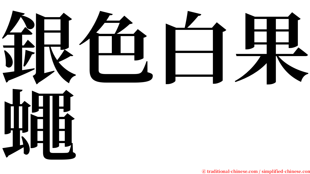 銀色白果蠅 serif font