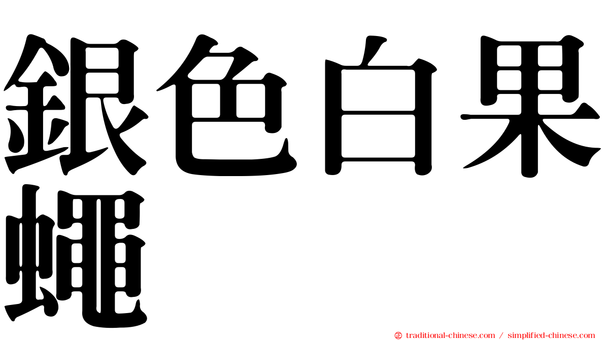 銀色白果蠅