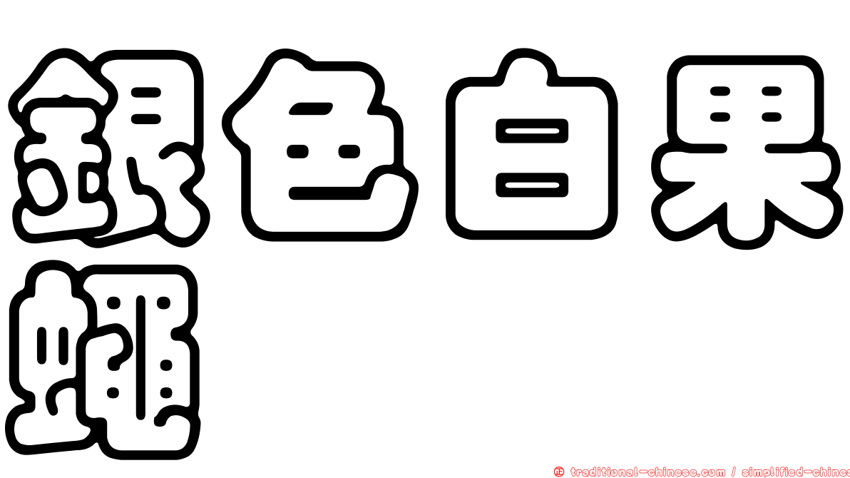 銀色白果蠅