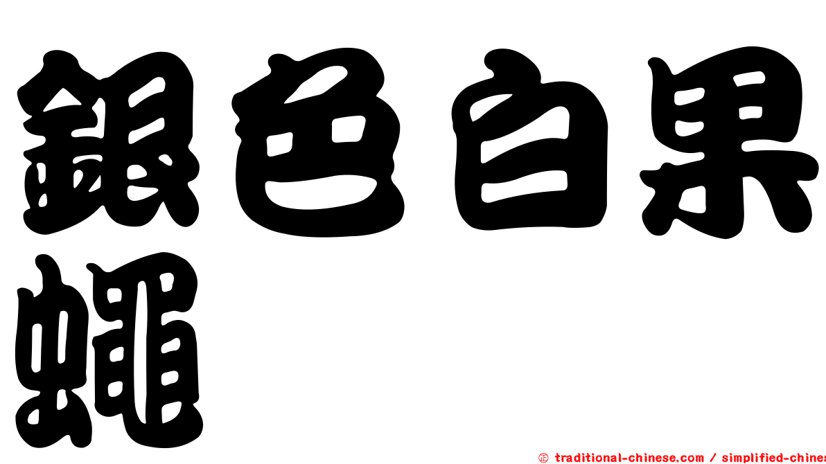 銀色白果蠅