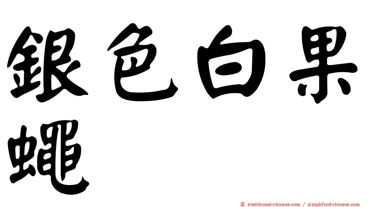 銀色白果蠅