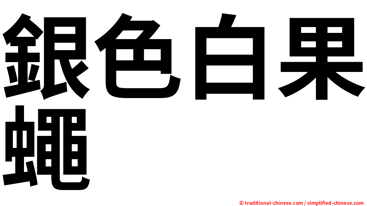 銀色白果蠅