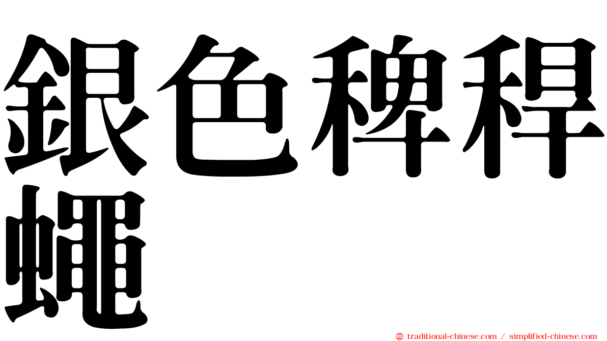 銀色稗稈蠅