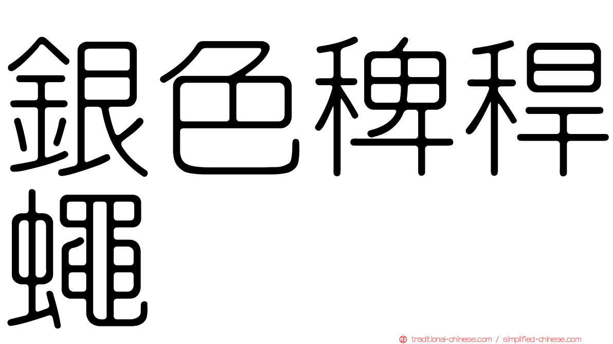 銀色稗稈蠅