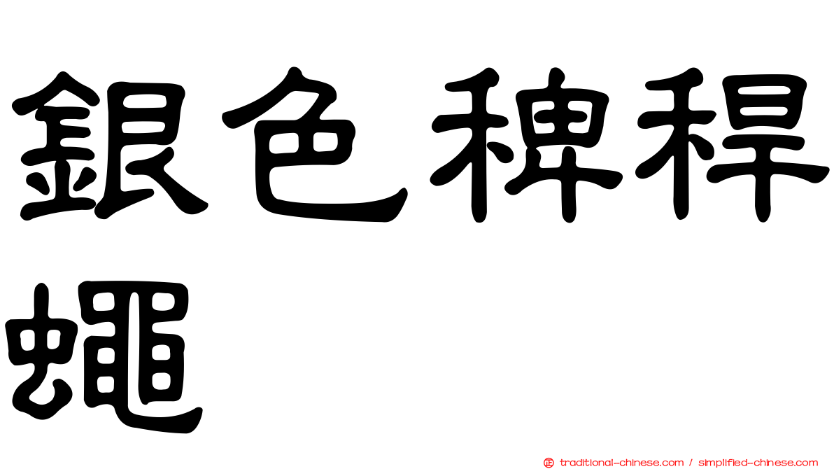 銀色稗稈蠅