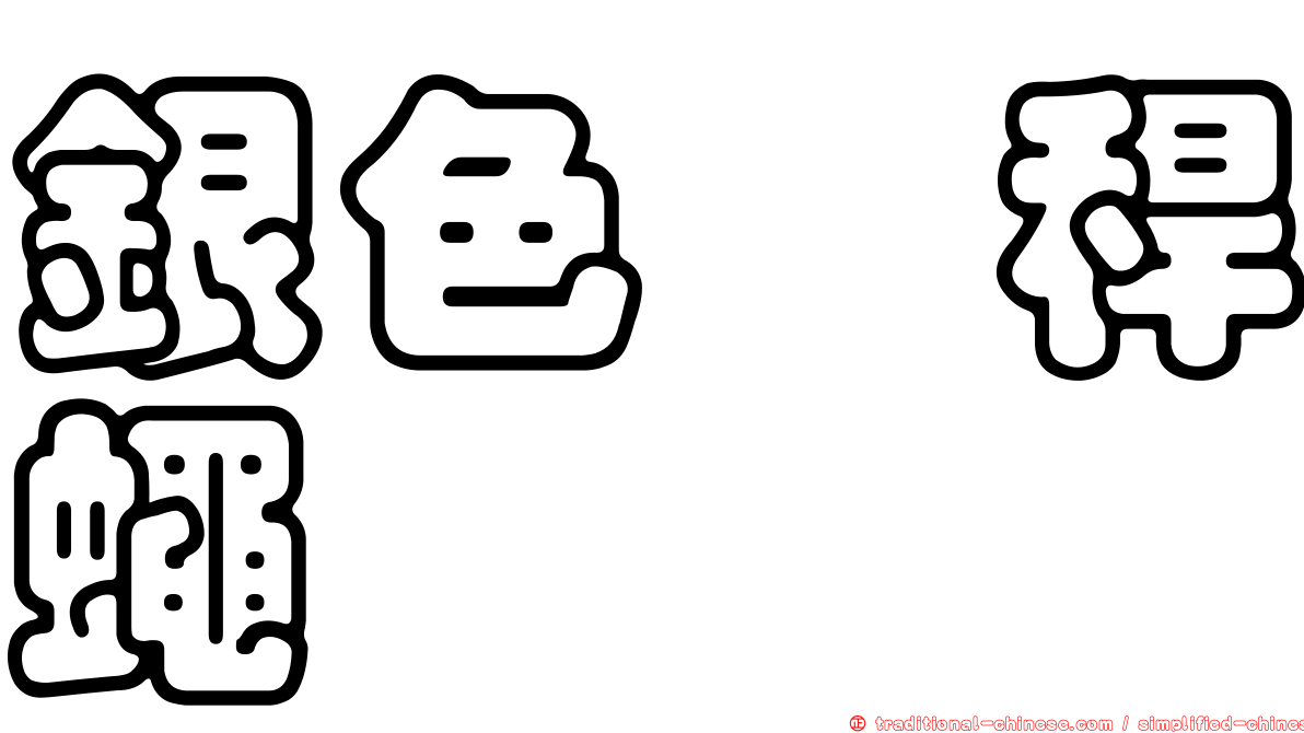 銀色稗稈蠅