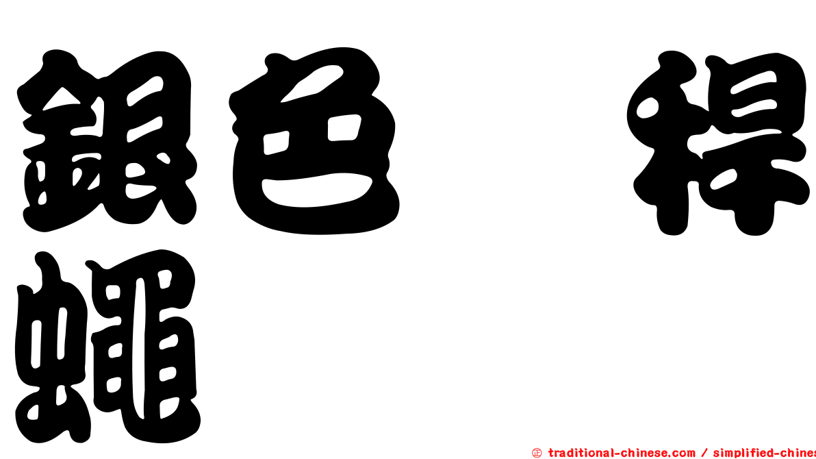 銀色稗稈蠅