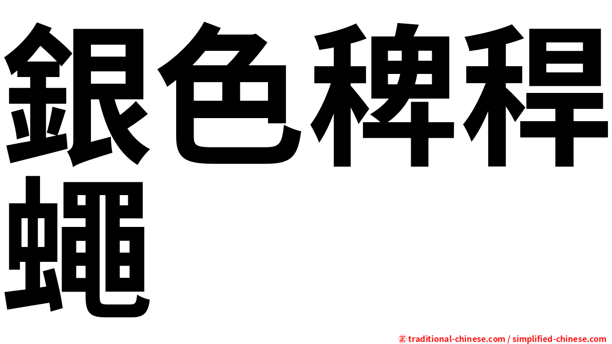 銀色稗稈蠅