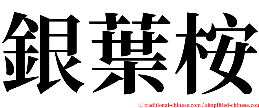 銀葉桉 serif font