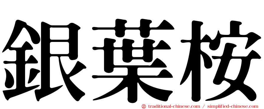 銀葉桉
