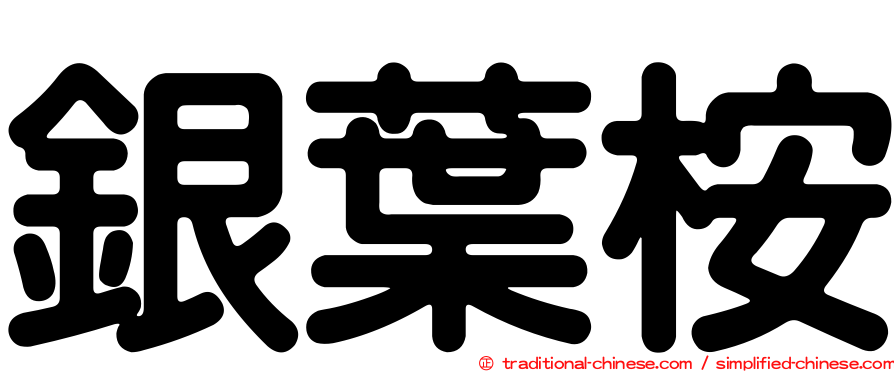 銀葉桉