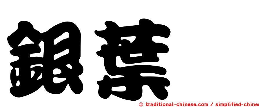 銀葉桉