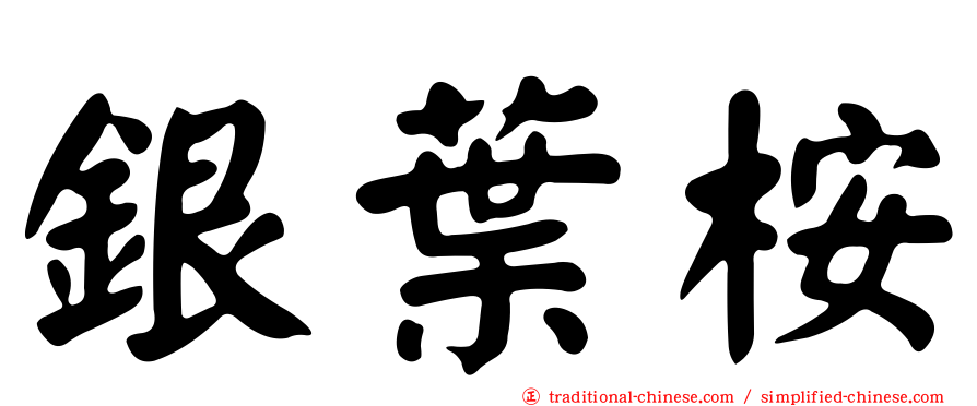 銀葉桉
