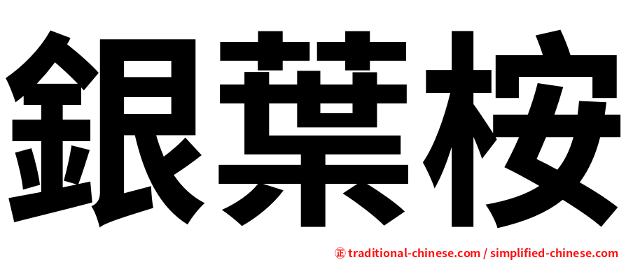 銀葉桉