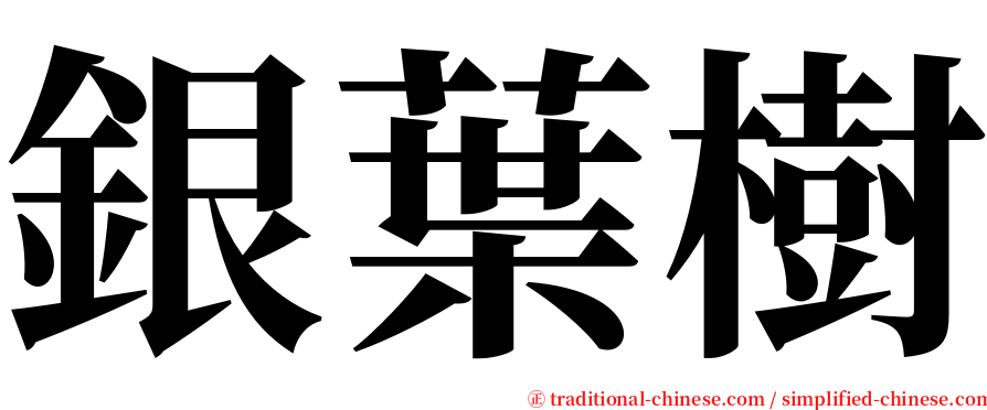 銀葉樹 serif font