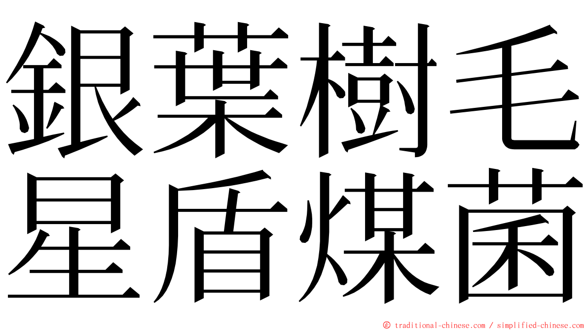 銀葉樹毛星盾煤菌 ming font