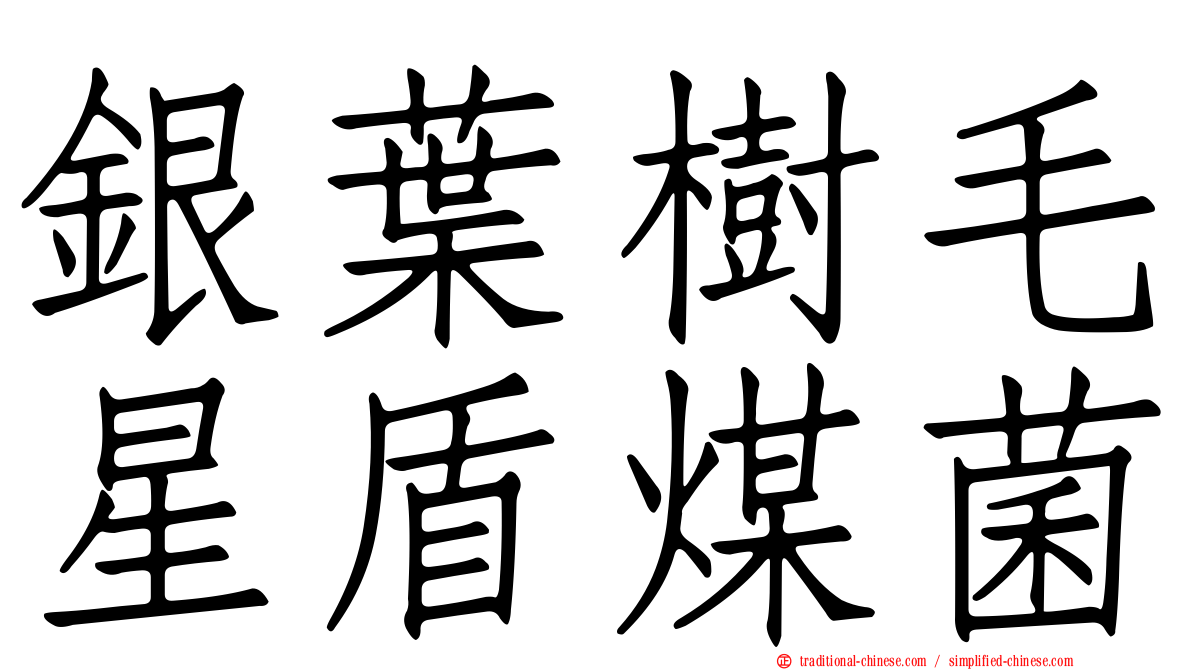 銀葉樹毛星盾煤菌