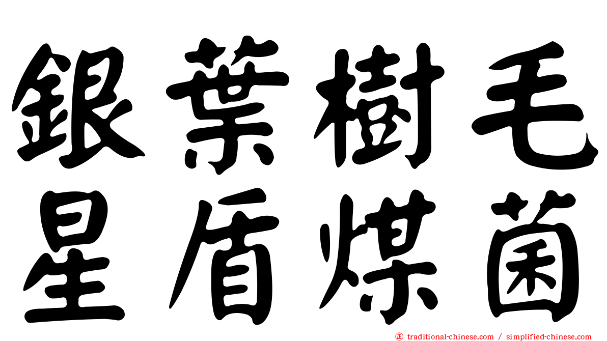 銀葉樹毛星盾煤菌
