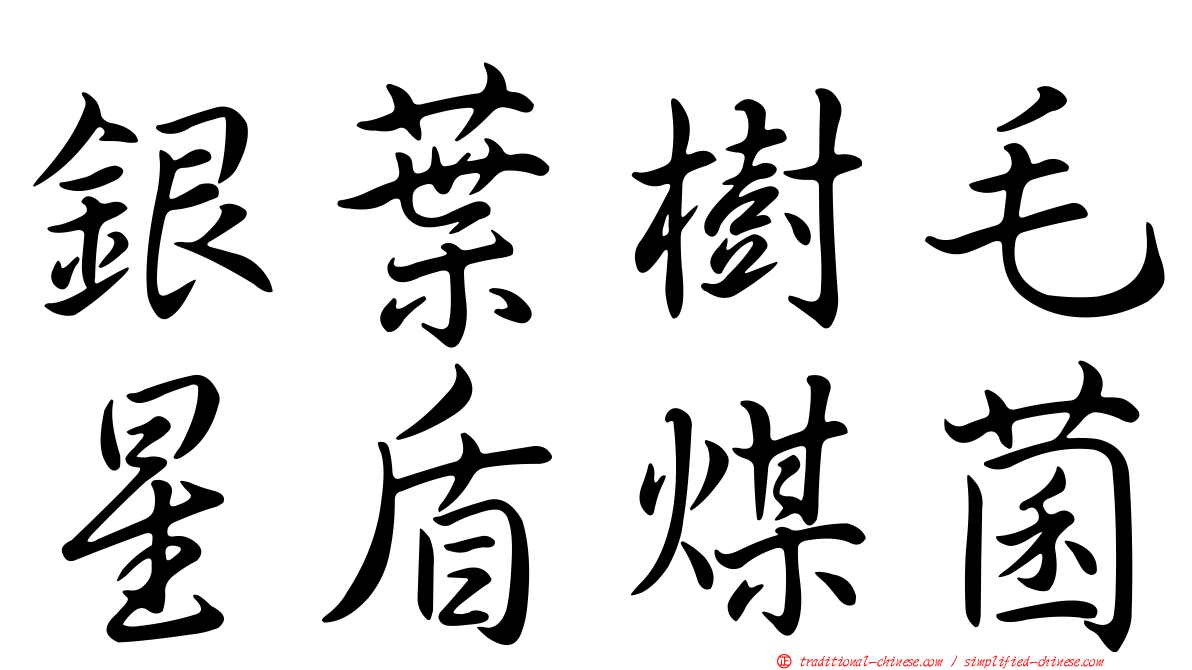 銀葉樹毛星盾煤菌
