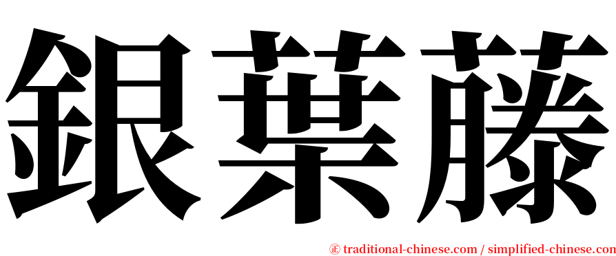 銀葉藤 serif font