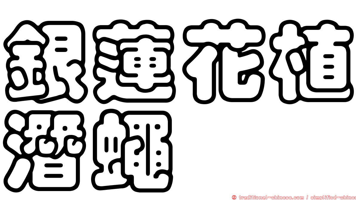 銀蓮花植潛蠅