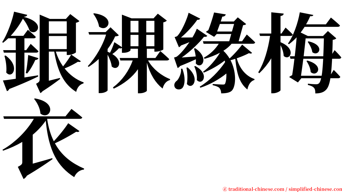 銀裸緣梅衣 serif font