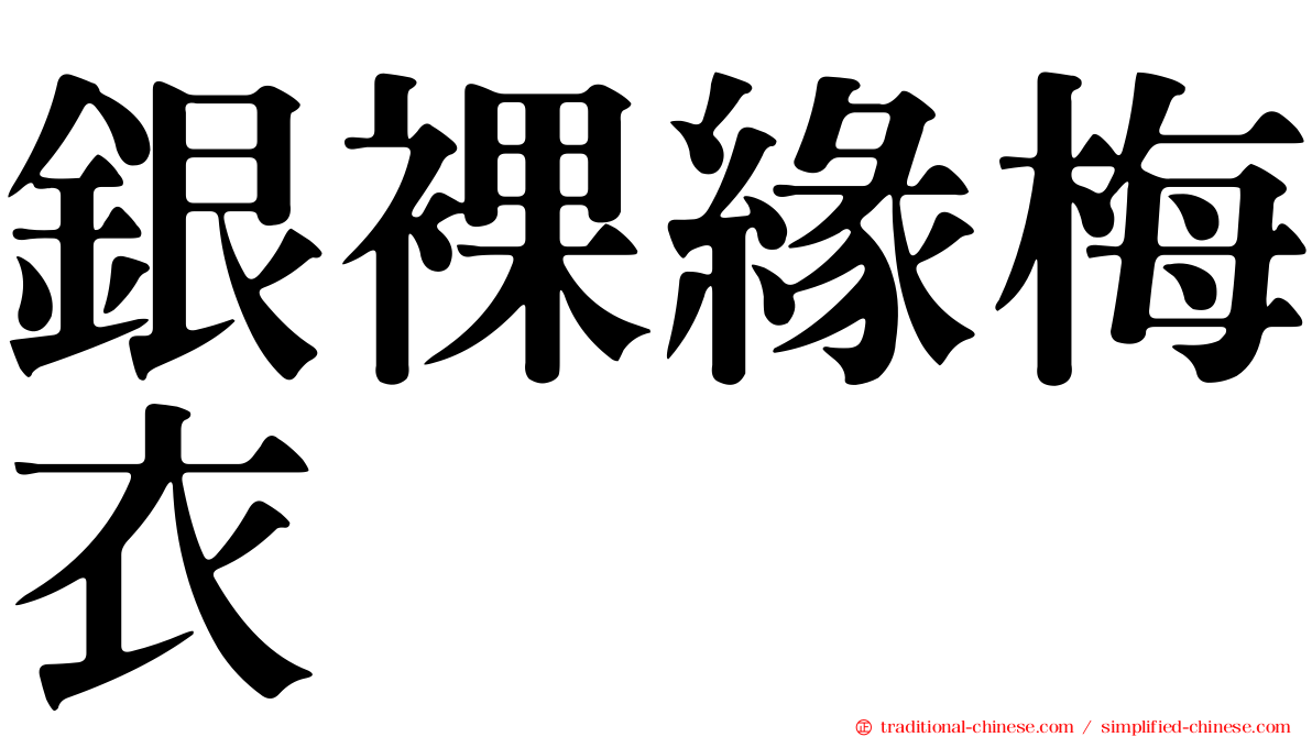 銀裸緣梅衣