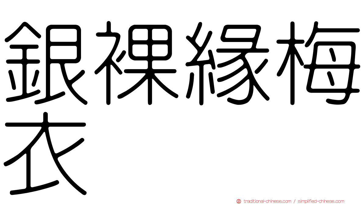 銀裸緣梅衣