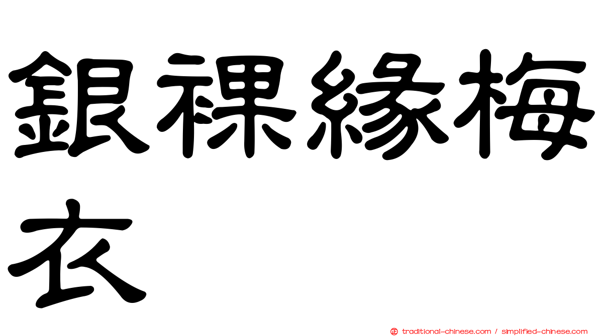 銀裸緣梅衣